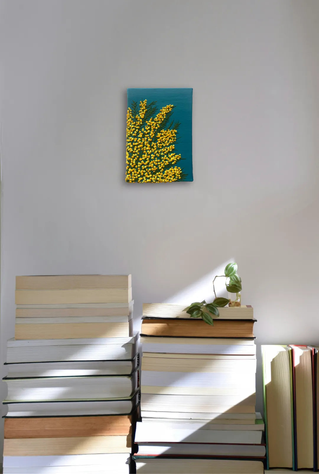 “mimosa”